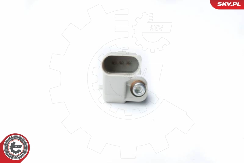 17SKV272