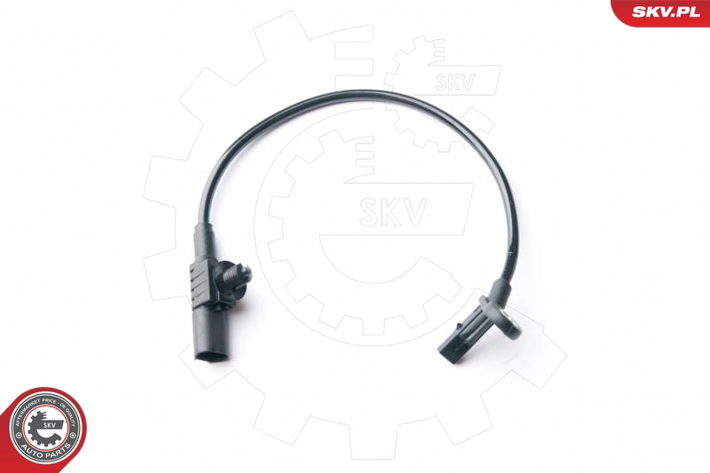 06SKV234