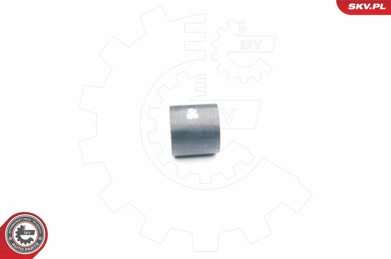 24SKV036
