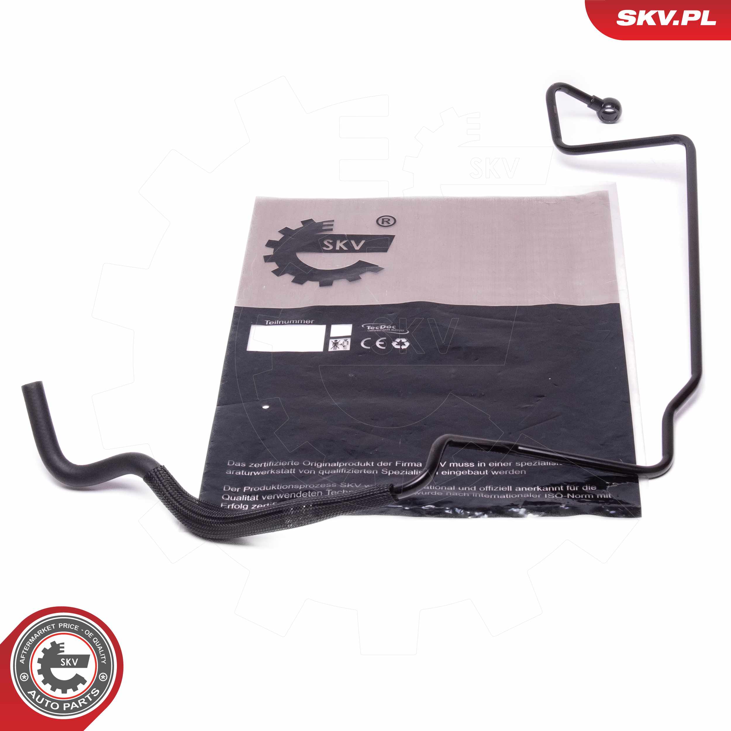 10SKV819