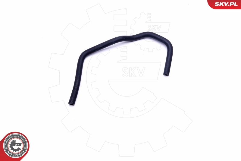 43SKV224