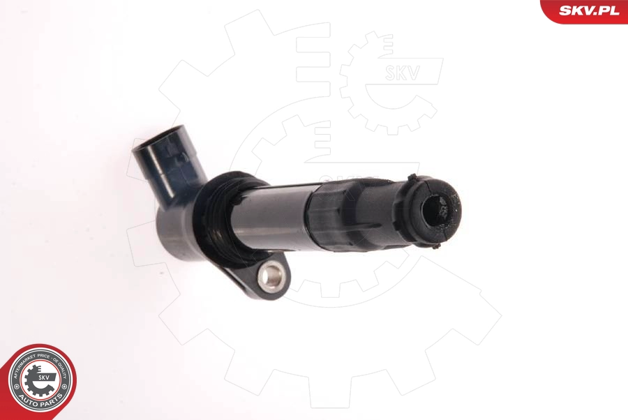 03SKV065