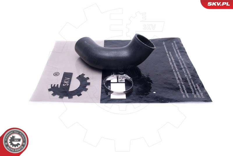 54SKV029