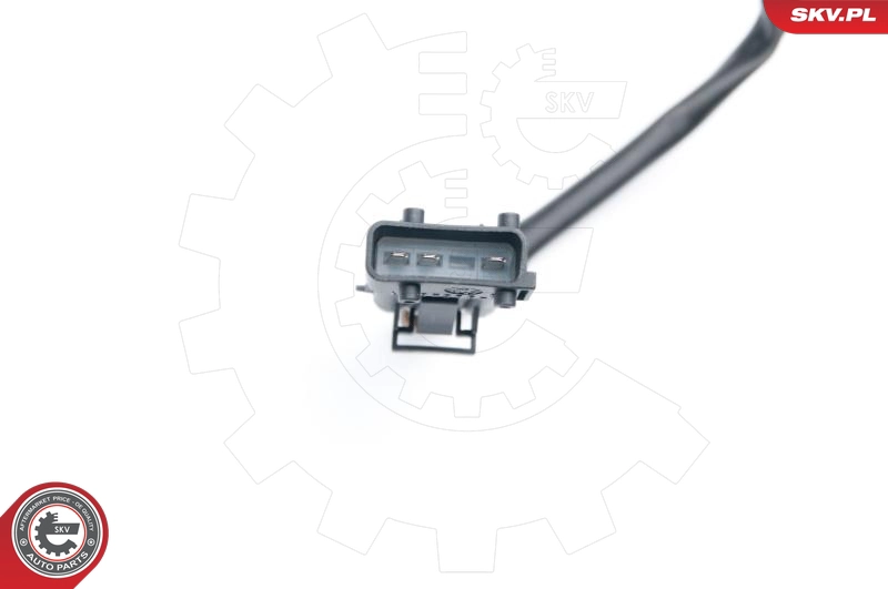 09SKV663