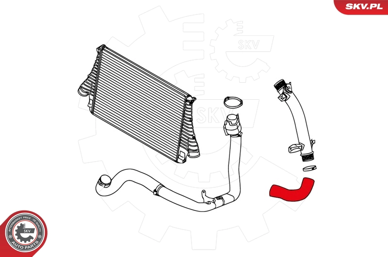 24SKV217