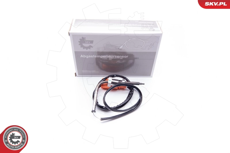 30SKV038