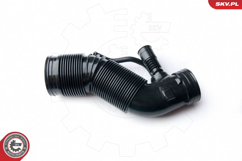 96SKV001