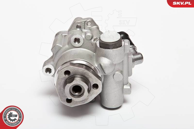 10SKV018