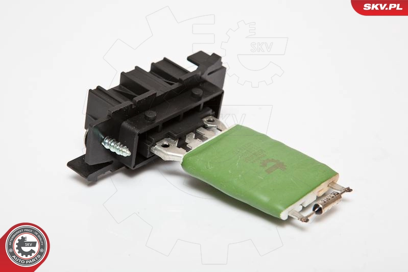 95SKV038
