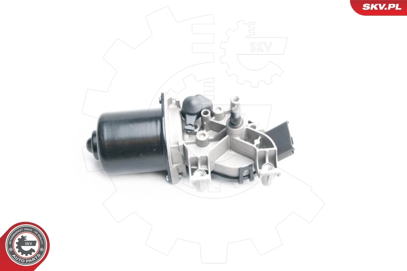 19SKV018