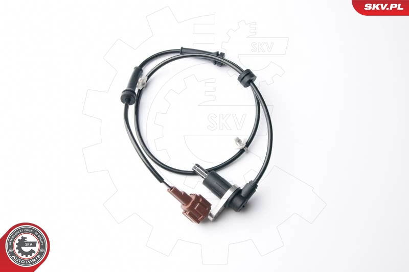 06SKV206