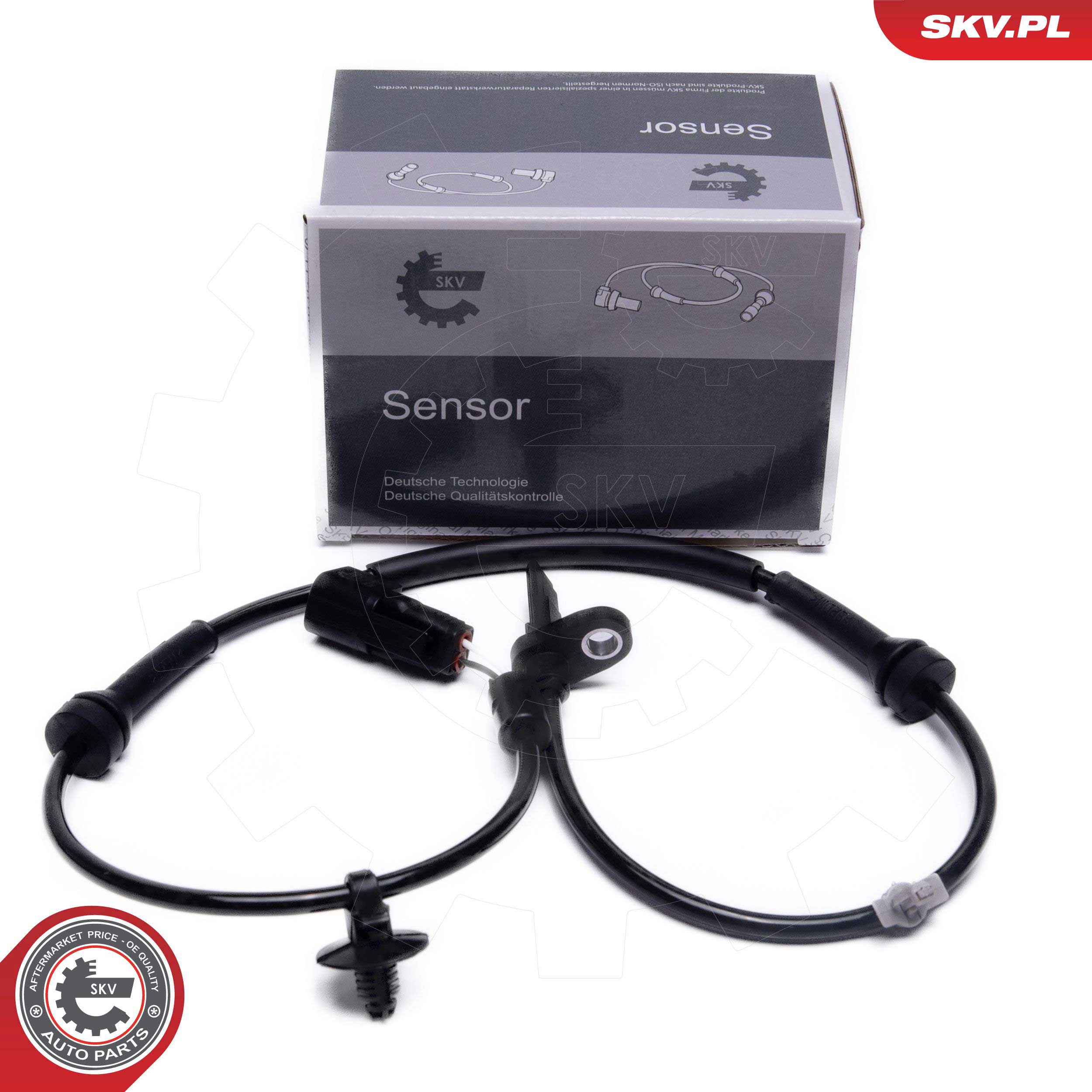 06SKV484