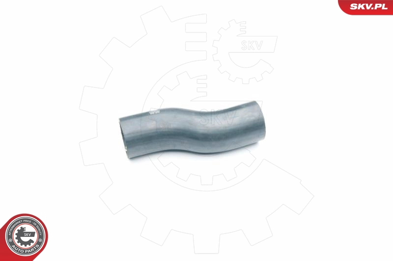 24SKV081