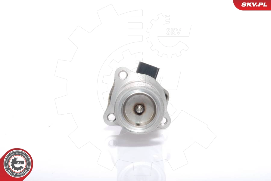 14SKV009