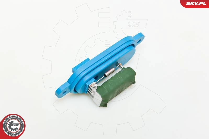 95SKV012