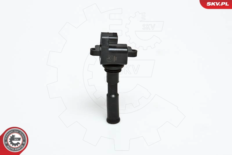 03SKV030