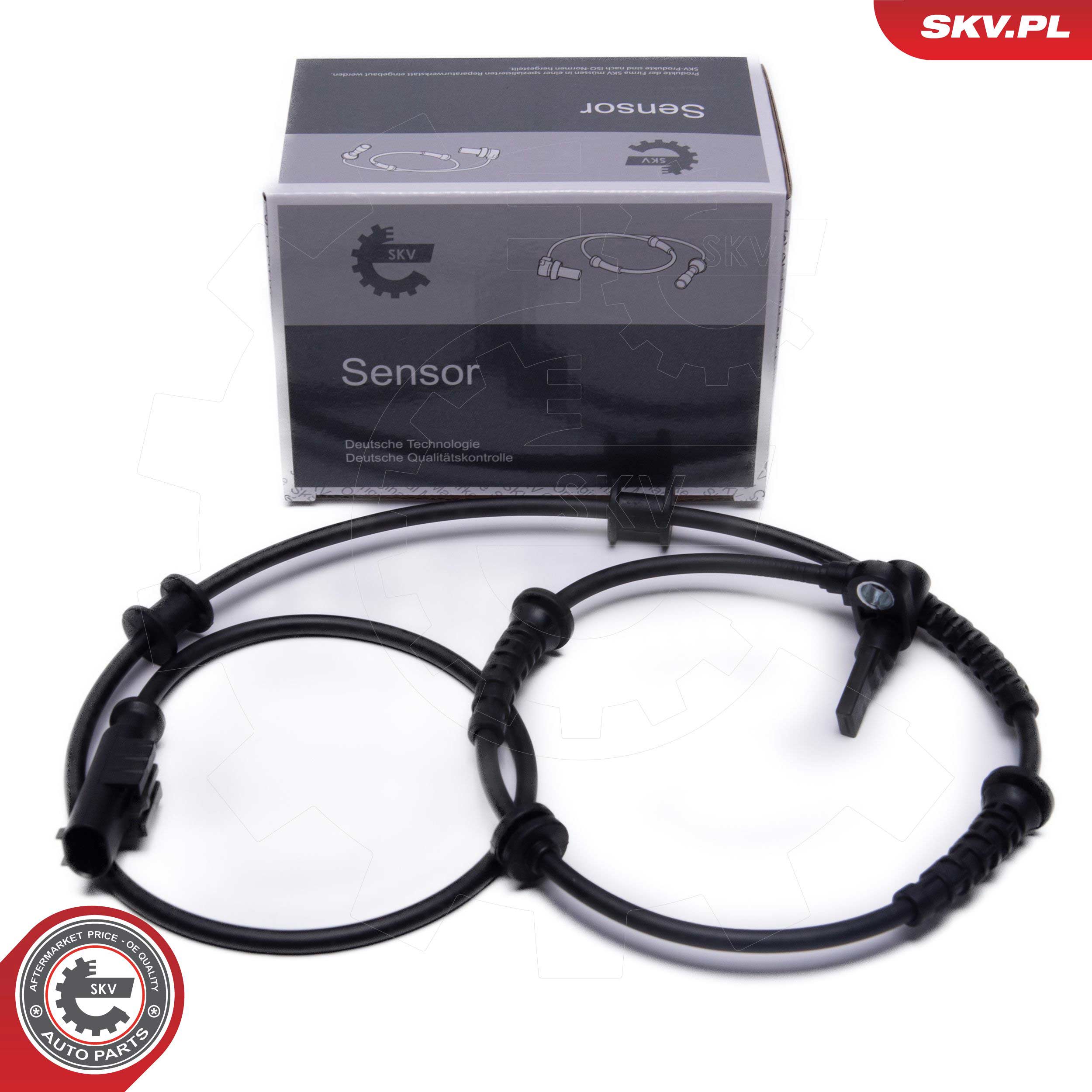 06SKV439