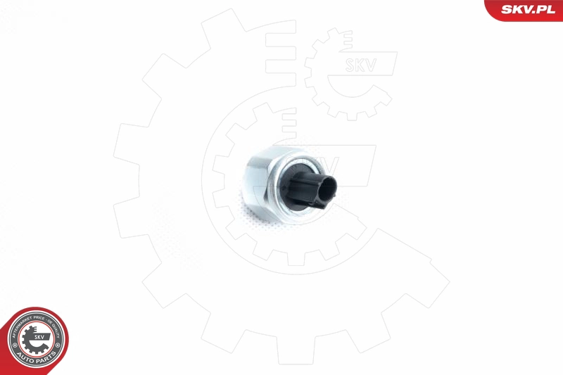 17SKV360