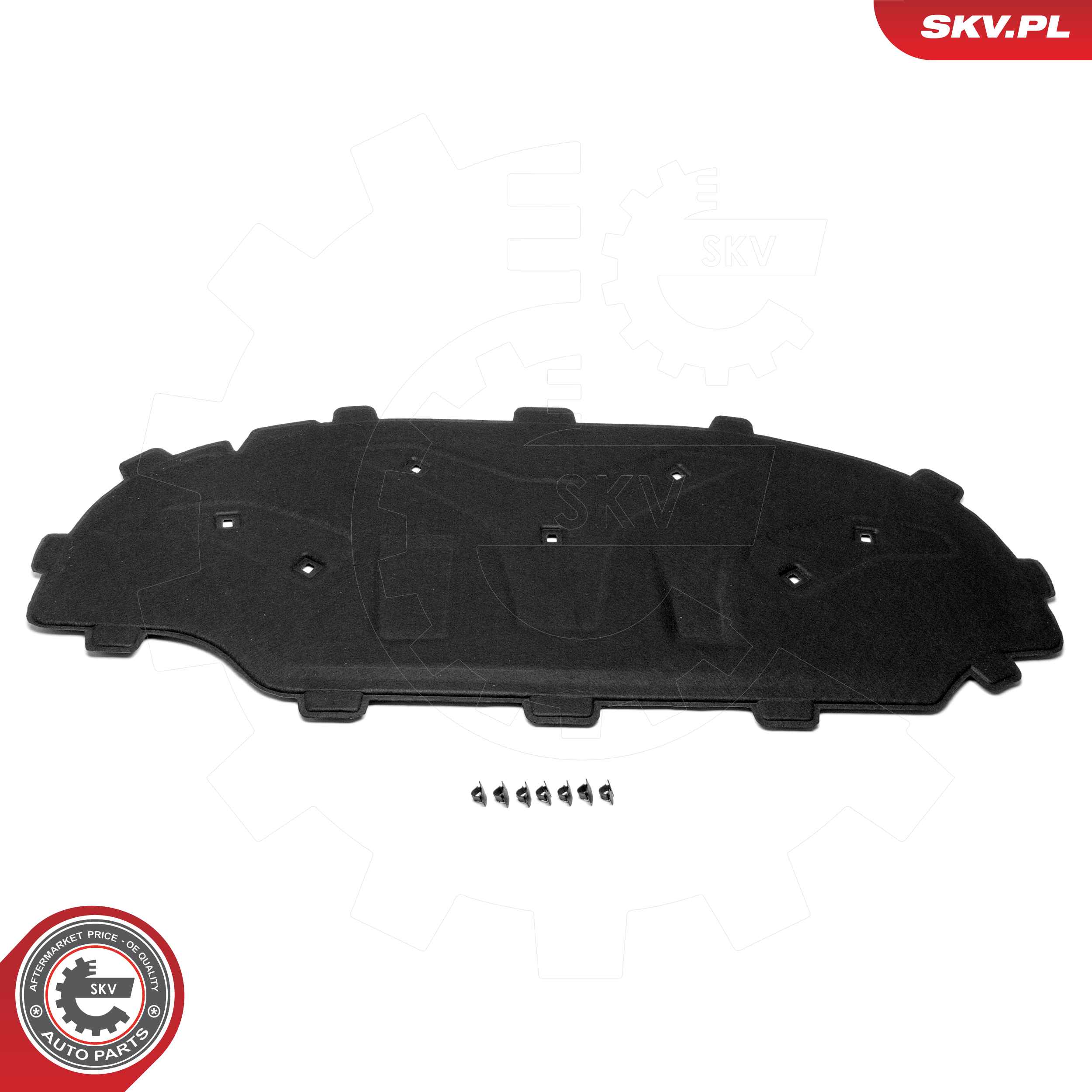 96SKV481