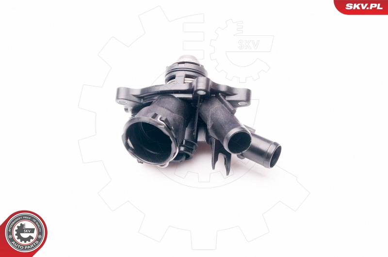 20SKV077