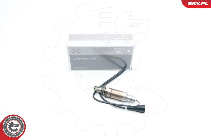 09SKV522