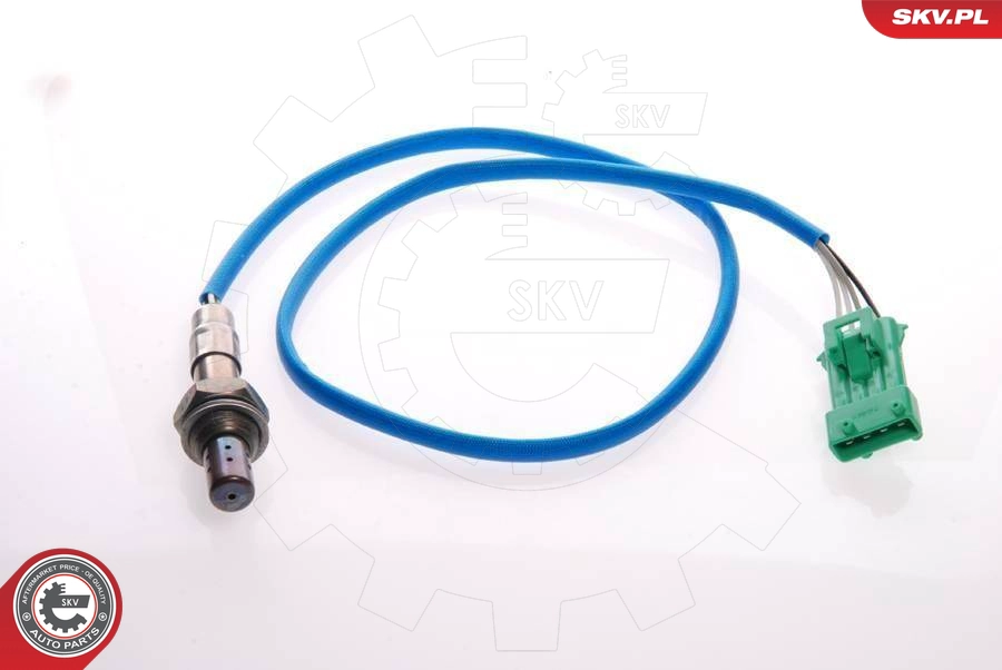 09SKV075