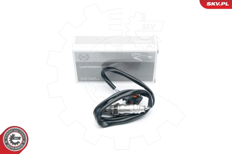 09SKV682