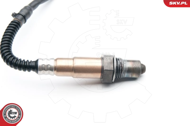 09SKV855
