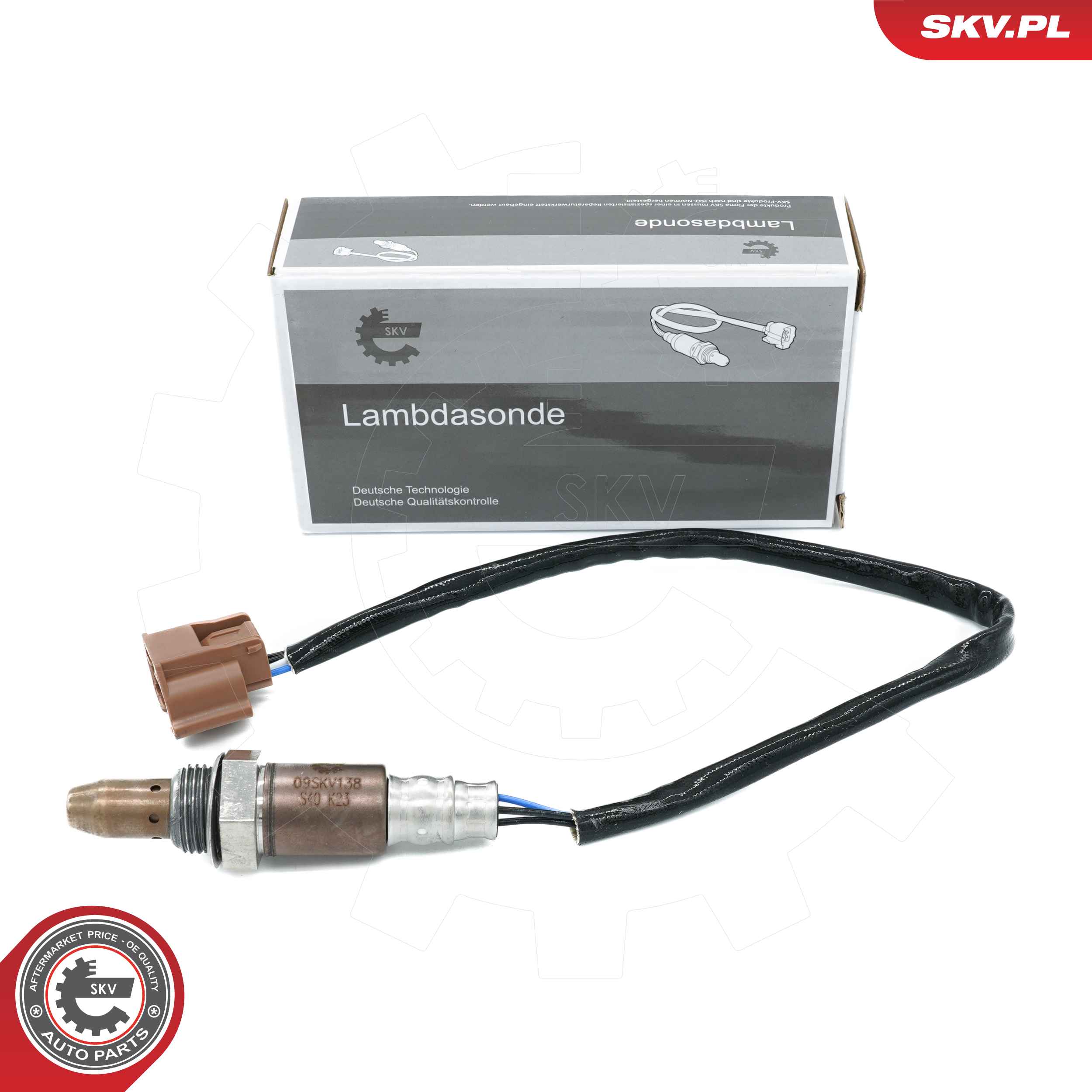 09SKV138