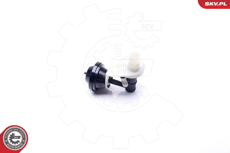 31SKV093