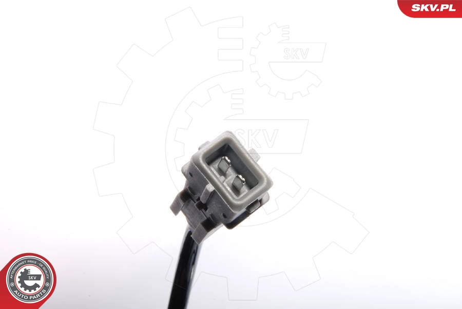 06SKV086