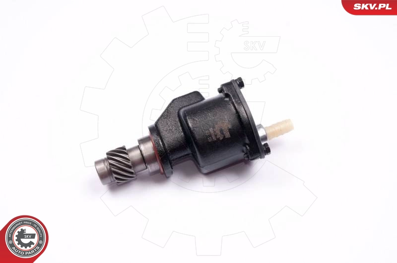 18SKV012