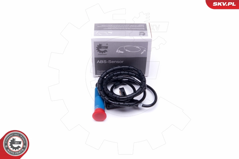 06SKV363