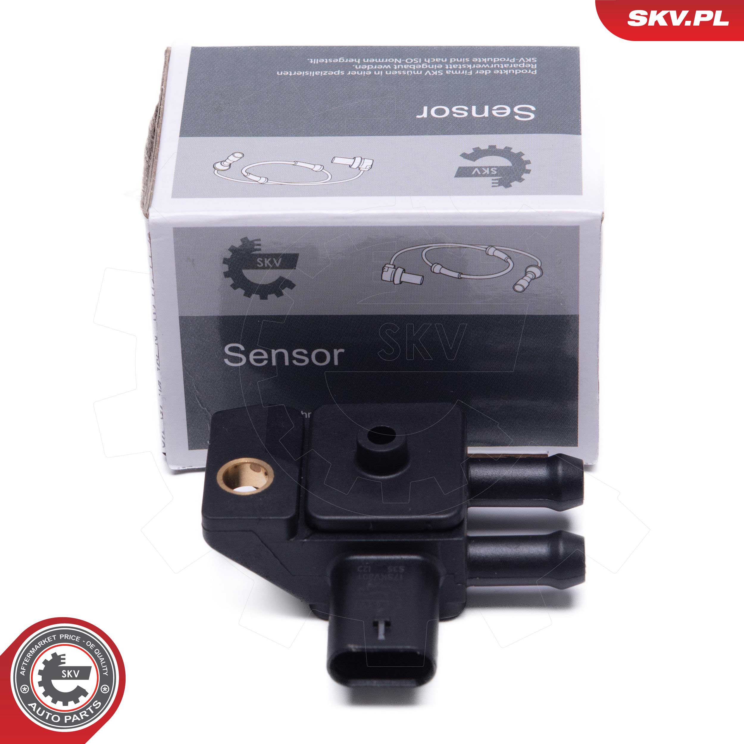 17SKV801