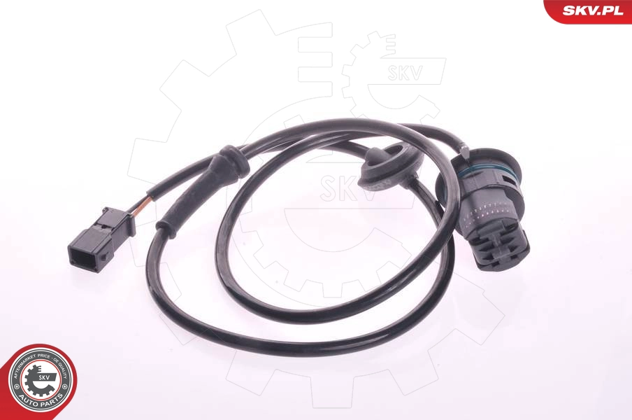 06SKV025
