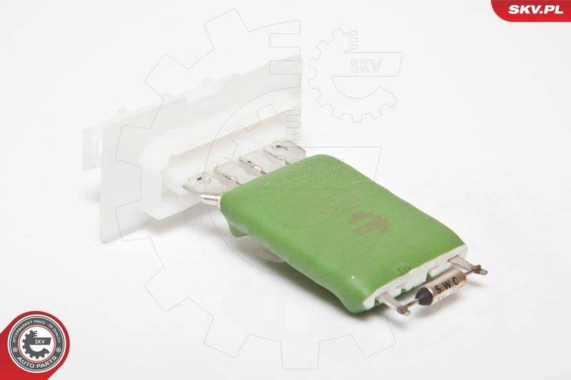 95SKV029