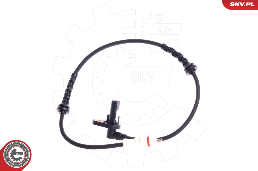 06SKV115