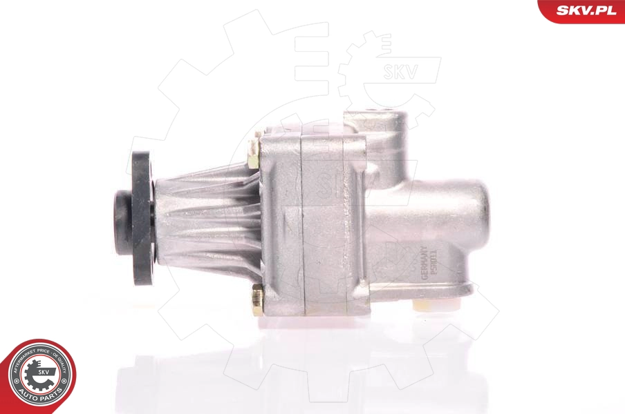 10SKV011
