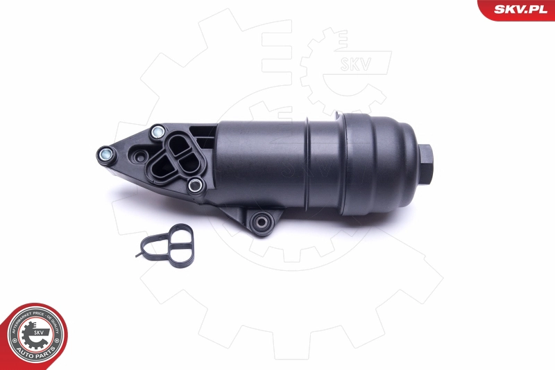 31SKV148
