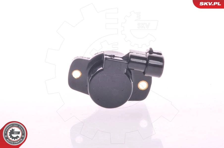 17SKV010