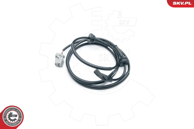 06SKV290