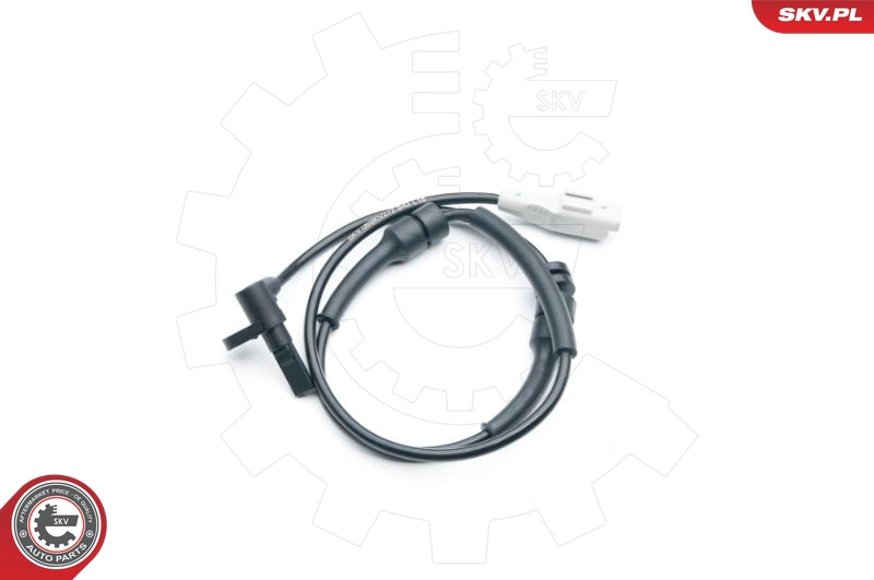 06SKV272
