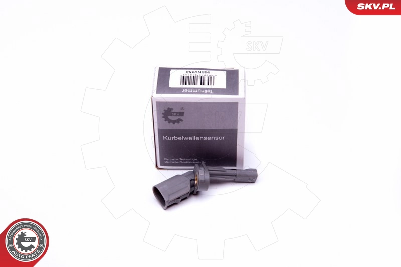 06SKV354