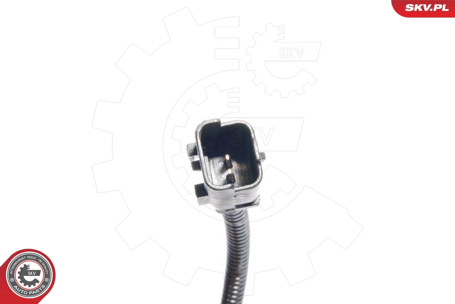 06SKV106