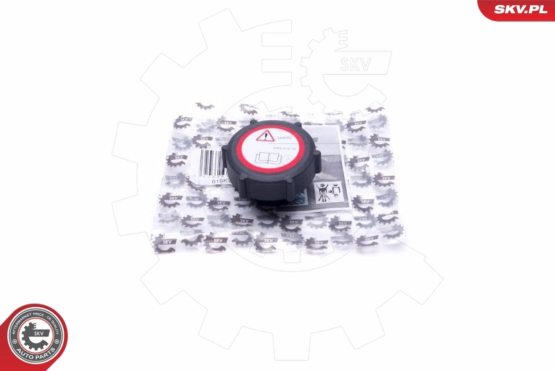 61SKV006