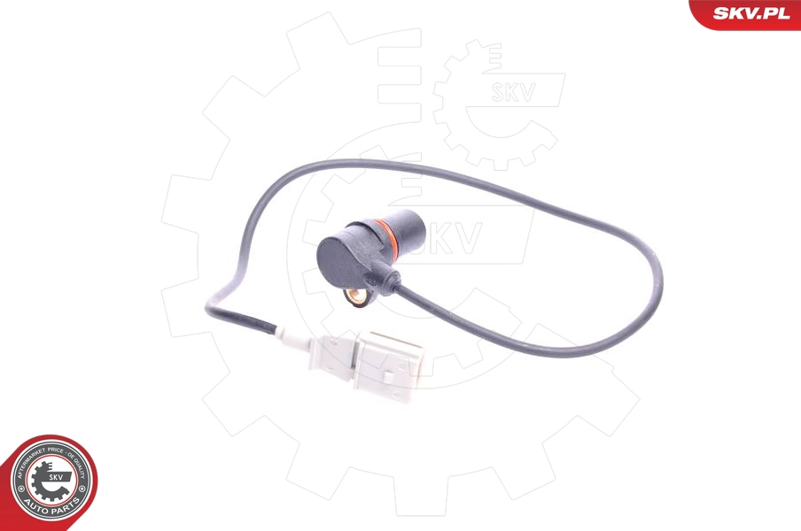 17SKV213