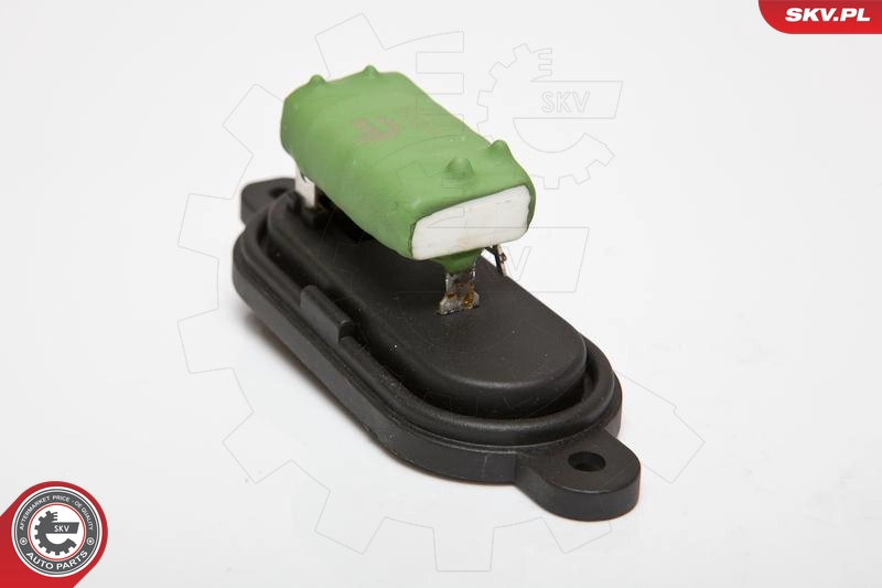 95SKV039