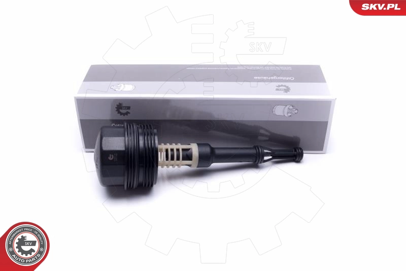 31SKV181