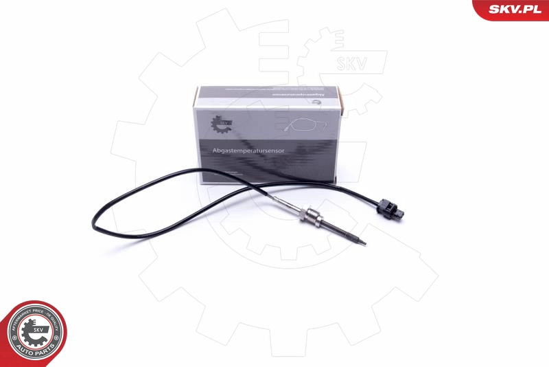 30SKV409