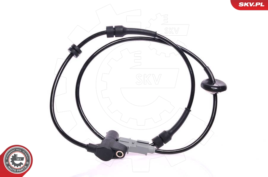 06SKV084